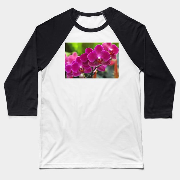 Phalaenopsis 'Red Jewel' (B535/1275) Baseball T-Shirt by SciencePhoto